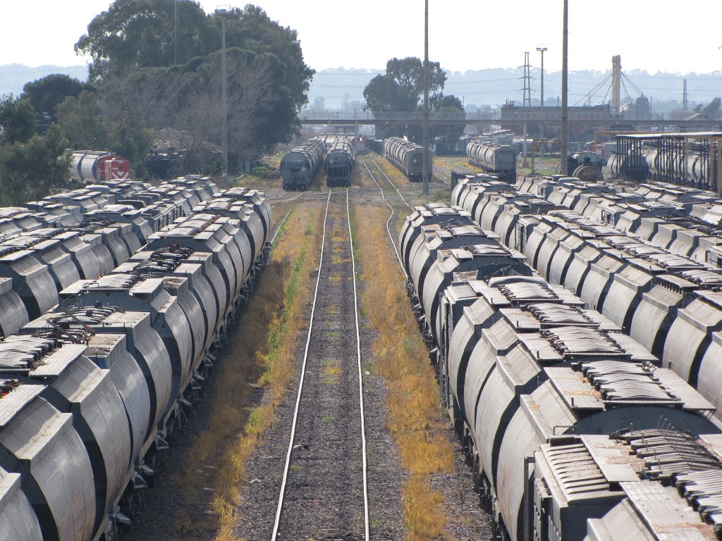 vagones puerto de bahia blanca.jpg